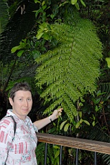 0143 Josephine Falls